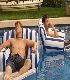 cliquez ici pour voir l'image (modelhome02.jpg)